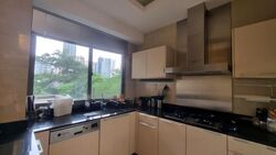 Parkview Eclat (D10), Condominium #479924491